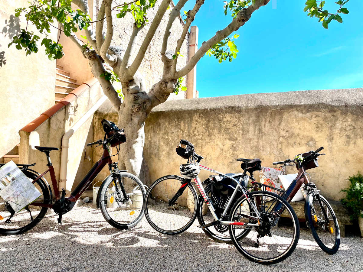 Le vélo en Provence